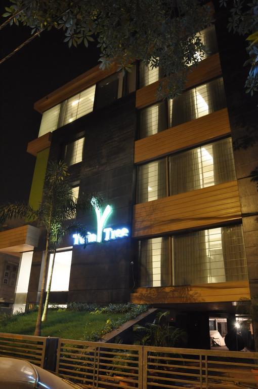 Twin Tree Naraina Delhi Local Ids Allowed New Delhi