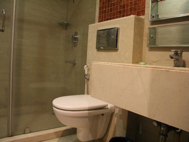 Hotel Twin Tree Naraina Delhi Local Ids Allowed 3*