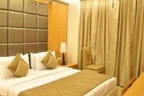 Twin Tree Naraina Delhi Local Ids Allowed 3*